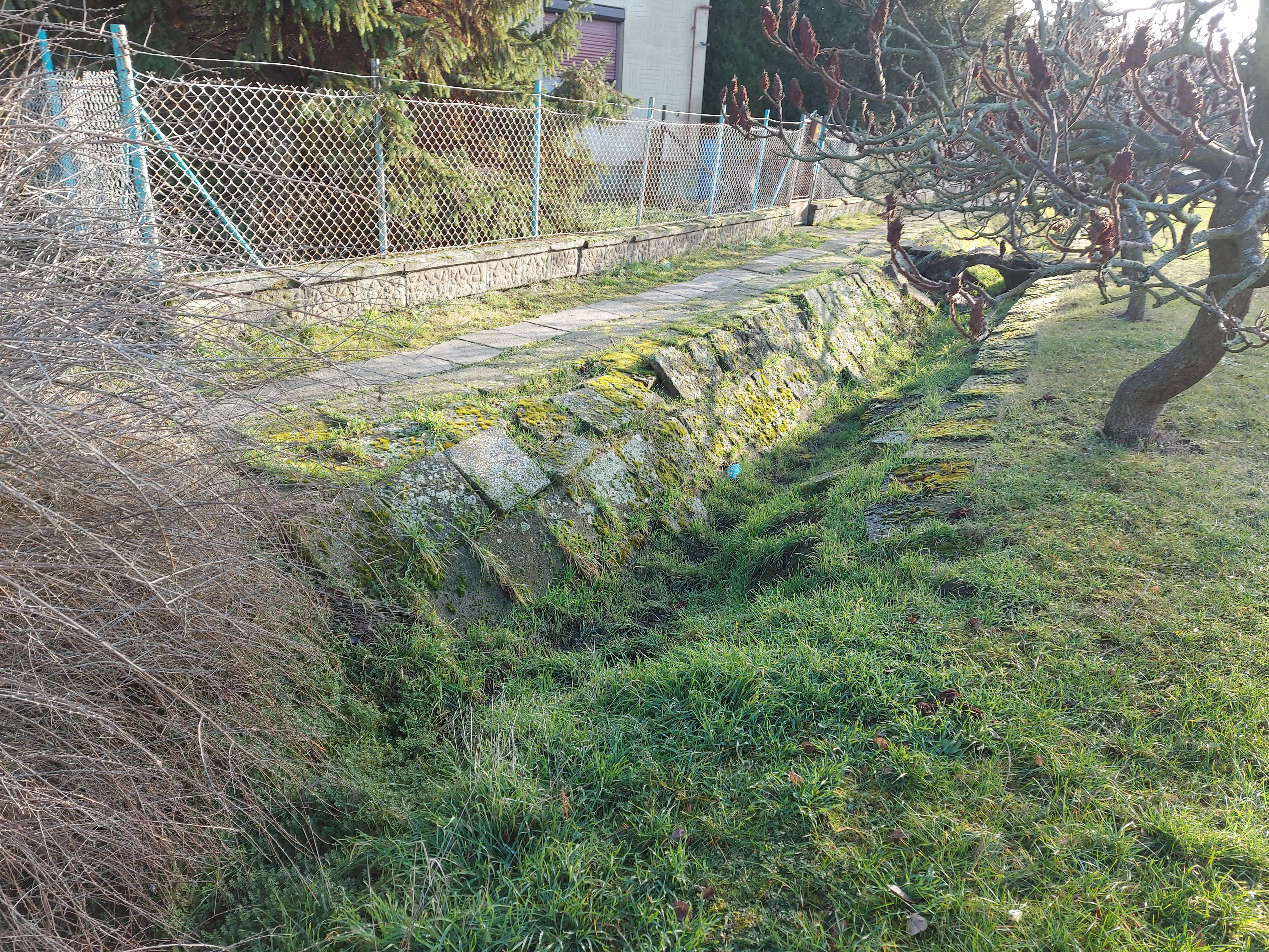 Foto3